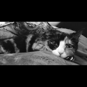 Meet your Posher, Lacey